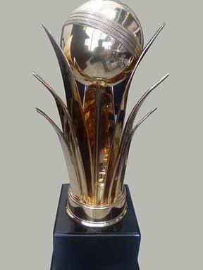 Cricket Ball Display Trophy