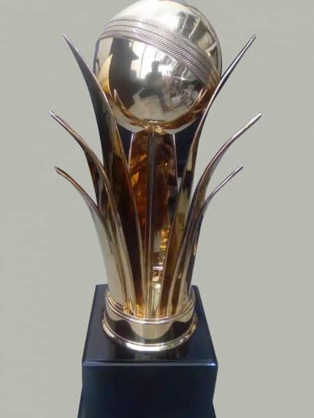 We Offer a Huge Range of Cricket Ball Display Trophy, and Awards Suited to Any Cricket Competition or League Presentation